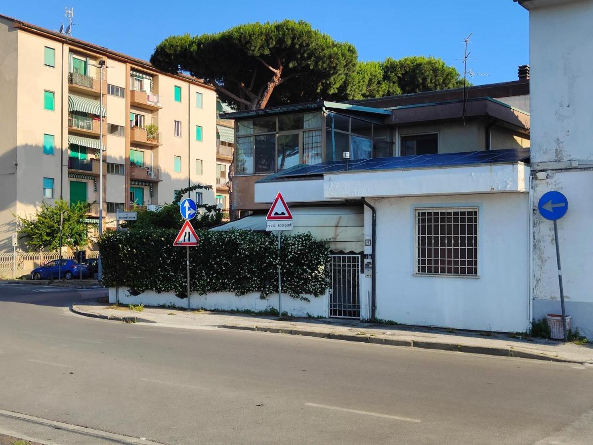 L'Appoggio Perfetto Lejlighed Viareggio Eksteriør billede